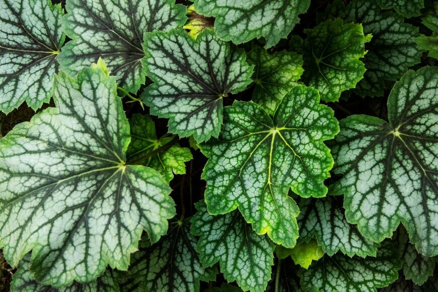 AndreaObzerova/istockphoto.com