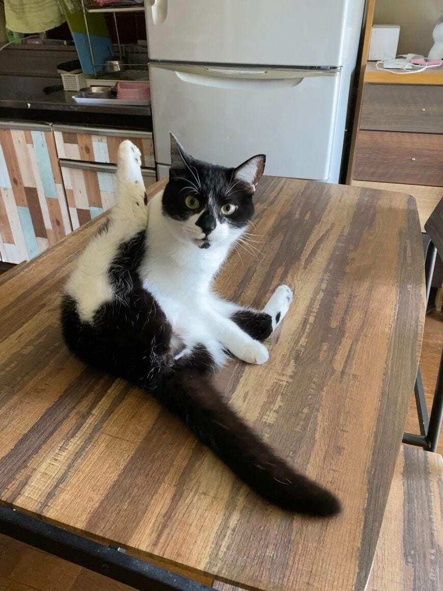 出所：@00shitemita