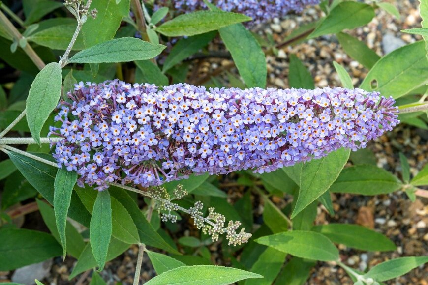 TasfotoNL/istockphoto.com