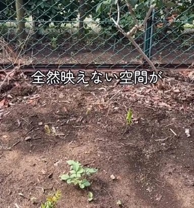 【ガーデニングDIY】映えない〈お庭の一角〉→アンティークな〈レンガ舗装〉に変身！「私もやってみたい」の声