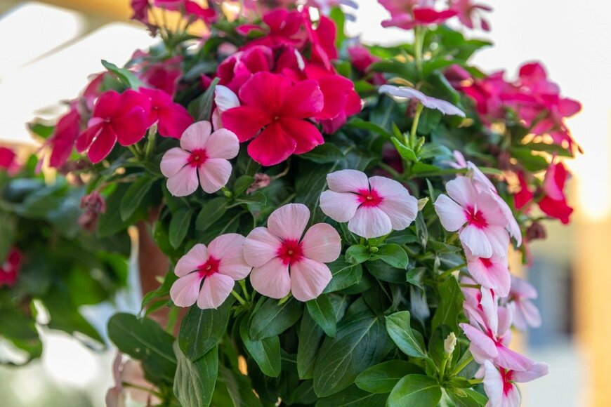 Vladimir1965/istockphoto.com