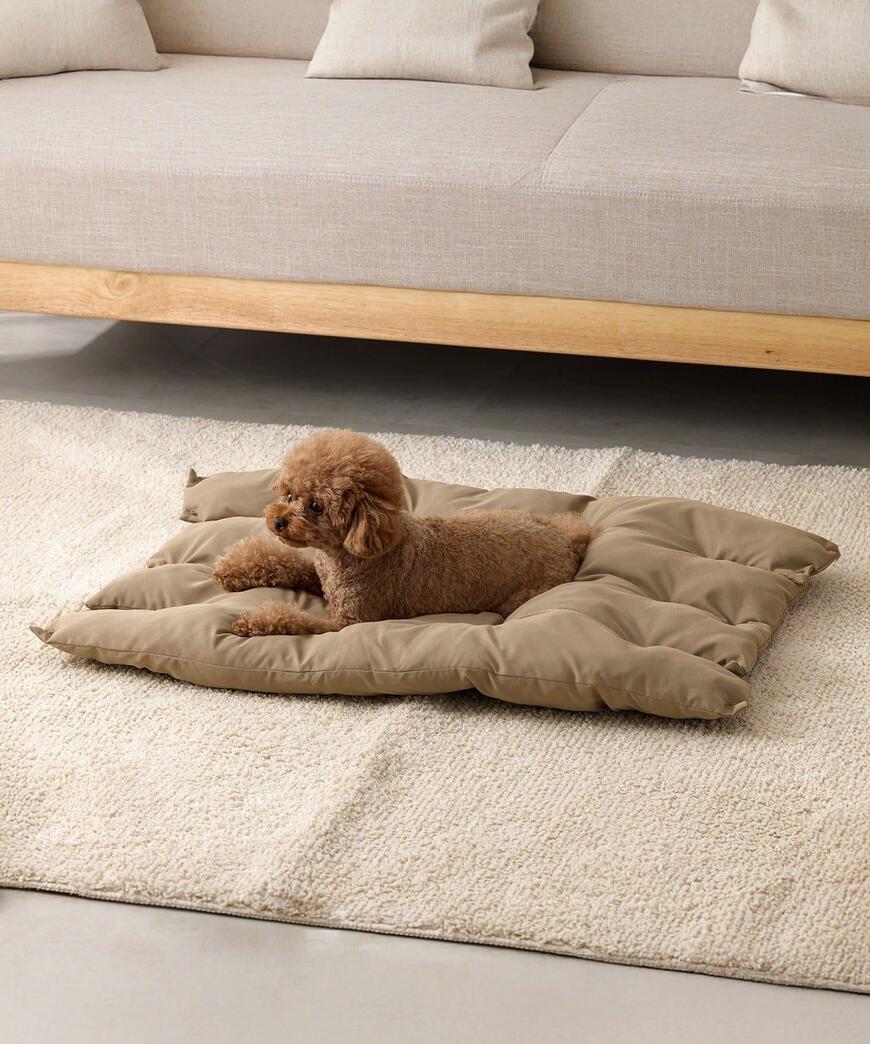 出所：パルグループ公式ファッション通販サイト 3COINS 2WAYペットベッド