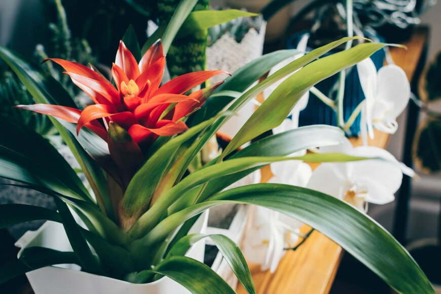 Meteoritka/shutterstock.com