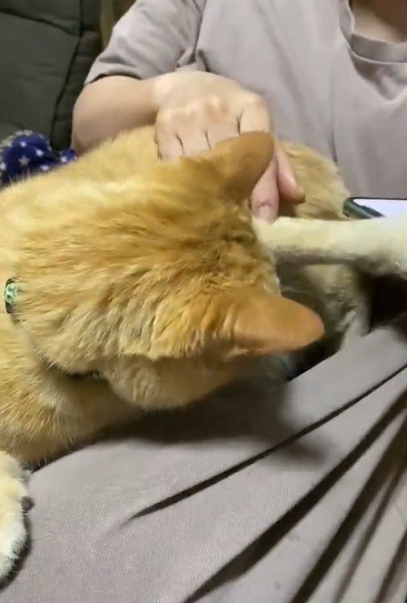 出所：@luna7taka9