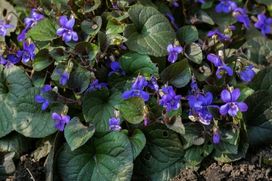 Meindert van der Haven/istockphoto.com