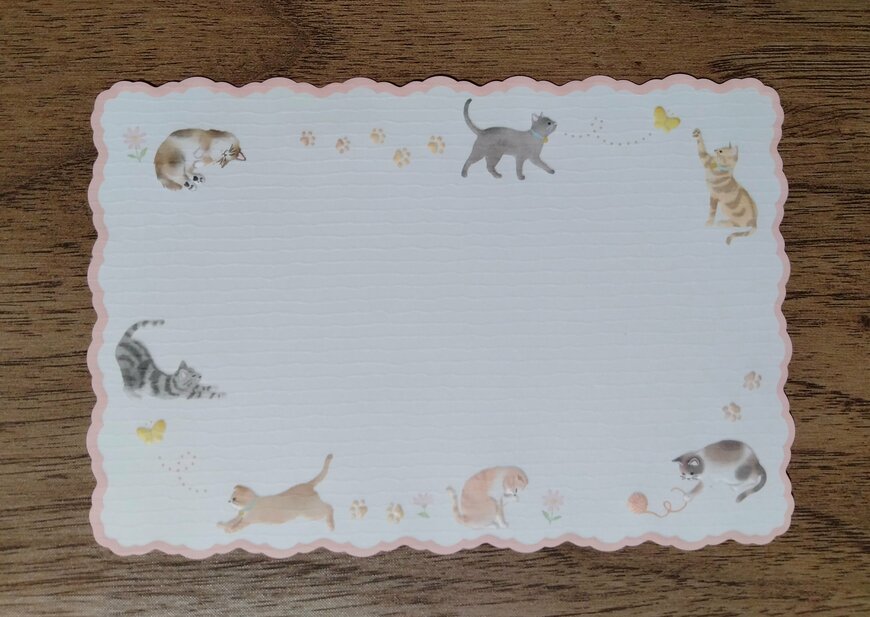 筆者撮影（ダイソー、ミニレターセット（ネコ））