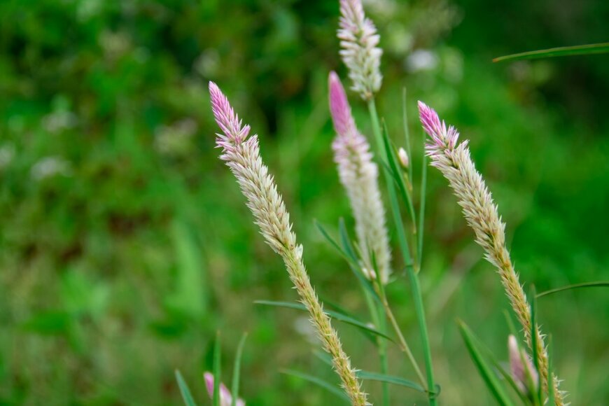 Oyeah 1301/shutterstock.com