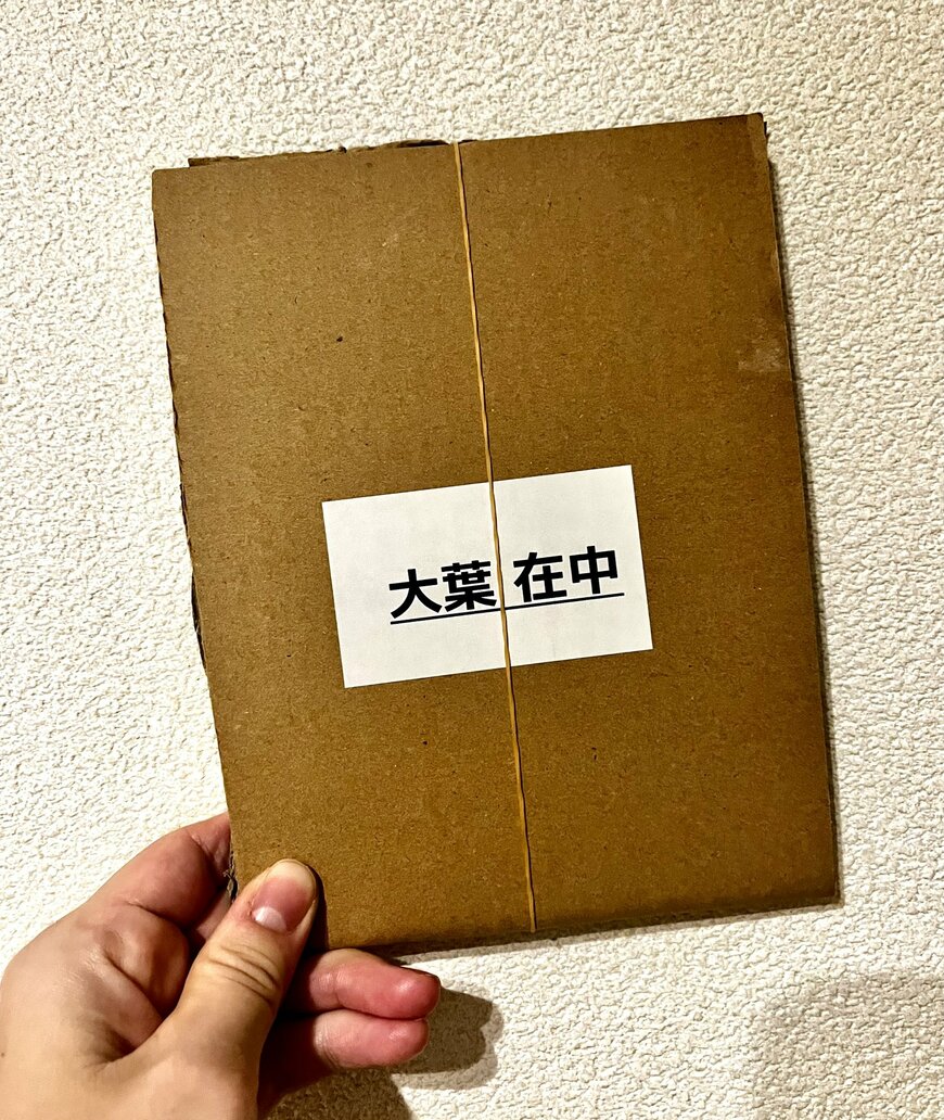 ネットスーパーの大葉の包装方法