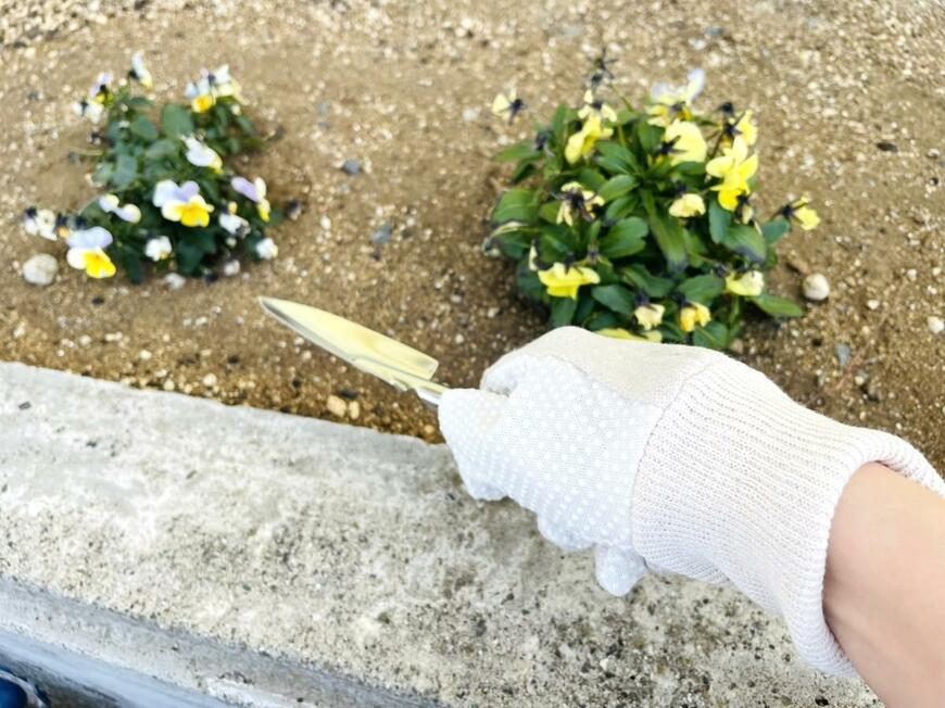 セリア「ガーデングローブ(レディースタイプ)」「ガーデニングツールカバーロール」