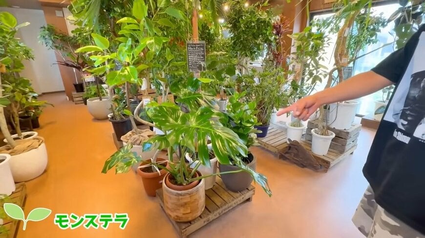 パンサー尾形のYouTube投稿