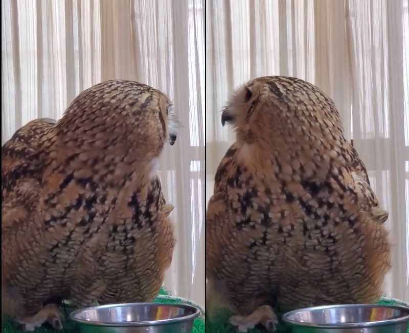 投稿動画のワンシーン