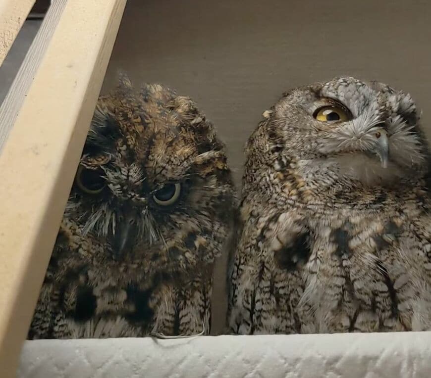 投稿動画のワンシーン