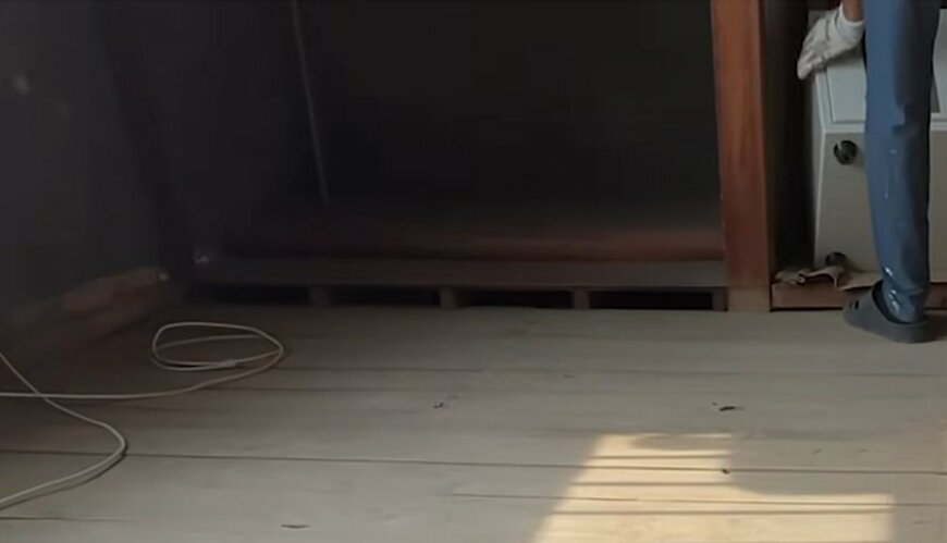 投稿動画のワンシーン