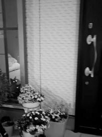 仕事終わりに帰宅すると　暗闇で目撃した「おかえり」にホッコリ