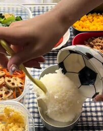 23歳彼氏に作る「2色そぼろ弁当」　豪華な出来栄えに見惚れる