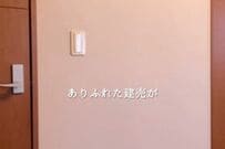 ありふれた壁紙をシール壁紙で「大正ロマン」風に大変身　簡単DIYに反響続々