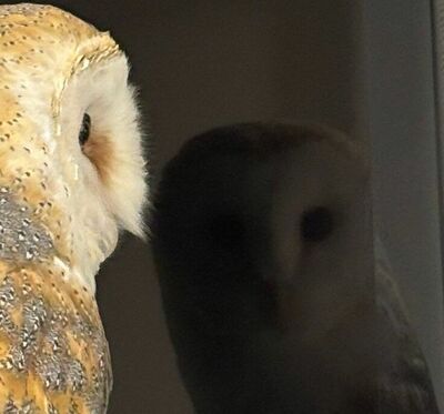 投稿動画のワンシーン