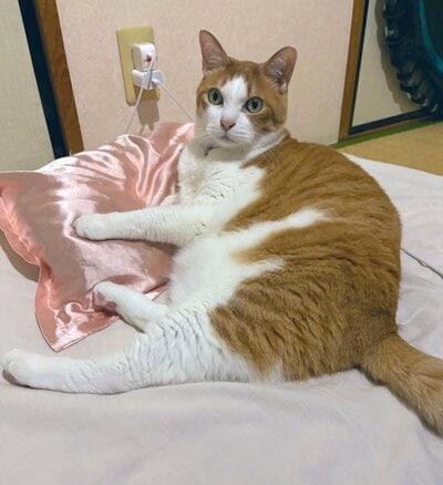 ぱっちりお目目のふうたくん