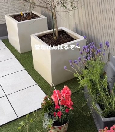 投稿の画像