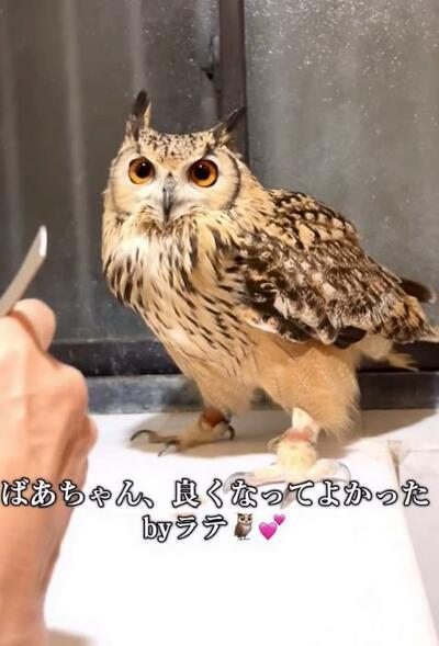 投稿動画のワンシーン