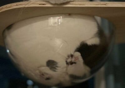 みっちり感がたまらない