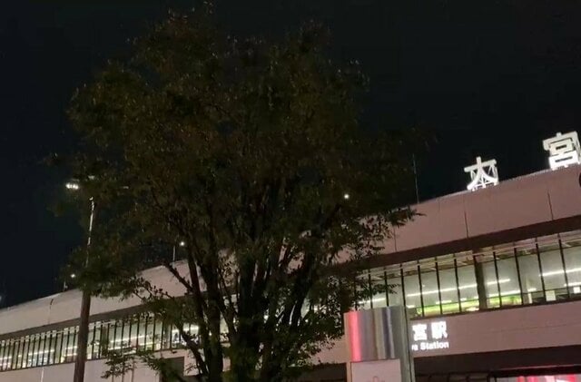 夜の大宮駅で「サーマルスコープ」を使いムクドリを撮影 数百羽もの鳥が「ハッキリ見える光景」にギョッとしてしまう