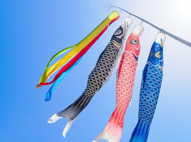 とんでもない高さにあげられた「鯉のぼり」　業者の本気に「鯉がメダカに見えてしまう」