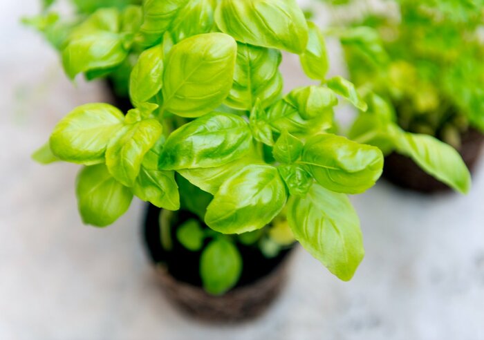 StockRocket/istockphoto.com
