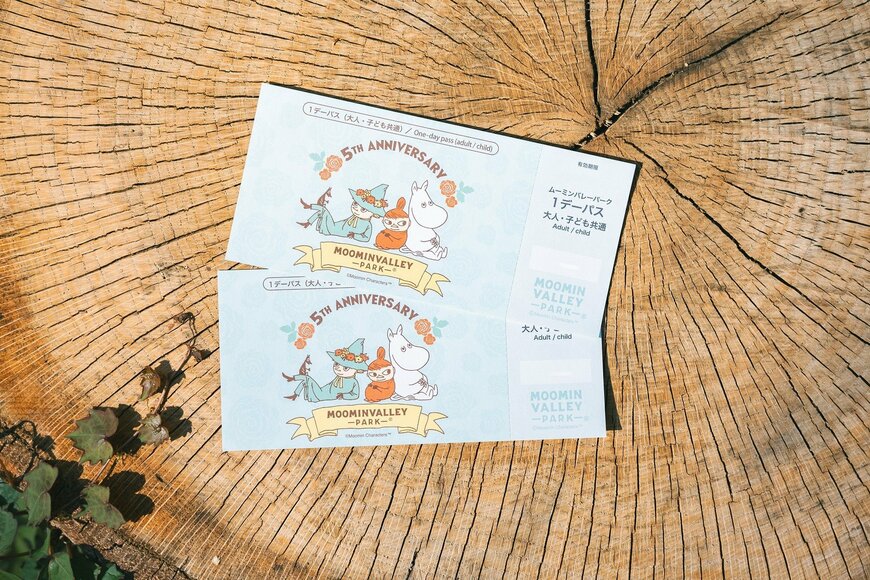 出所：ふるさとチョイス MOOMINVALLEY PARK(ムーミンバレーパーク)1デーパス2枚セット