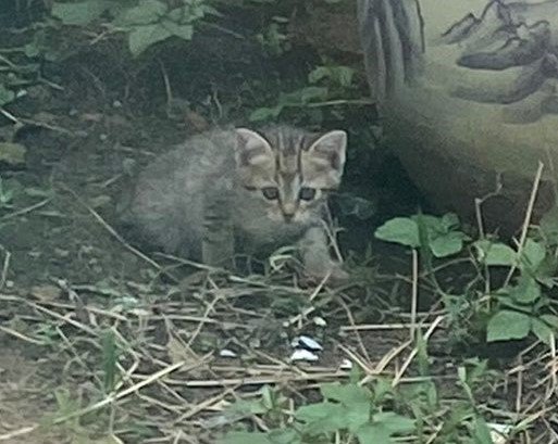 出所：@8rjXhLaRHFwK9l2