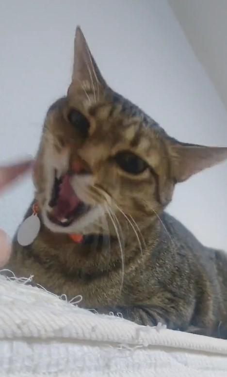 出所：@Mh0MLiErcV8E97C