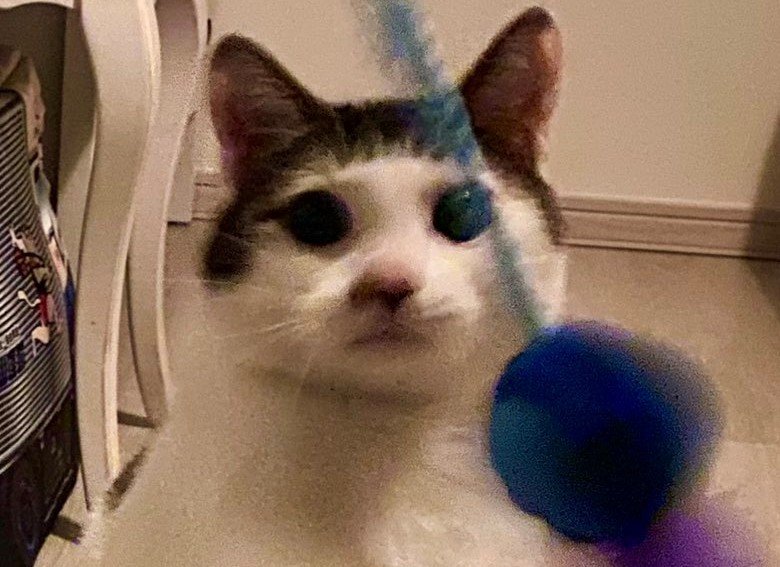 出所：@Saeroyi_cat