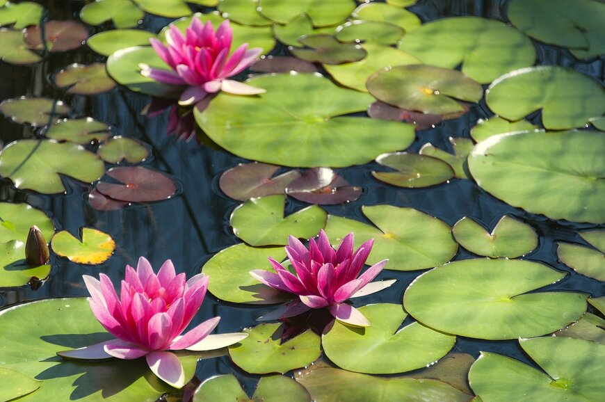 Gleti/istockphoto.com