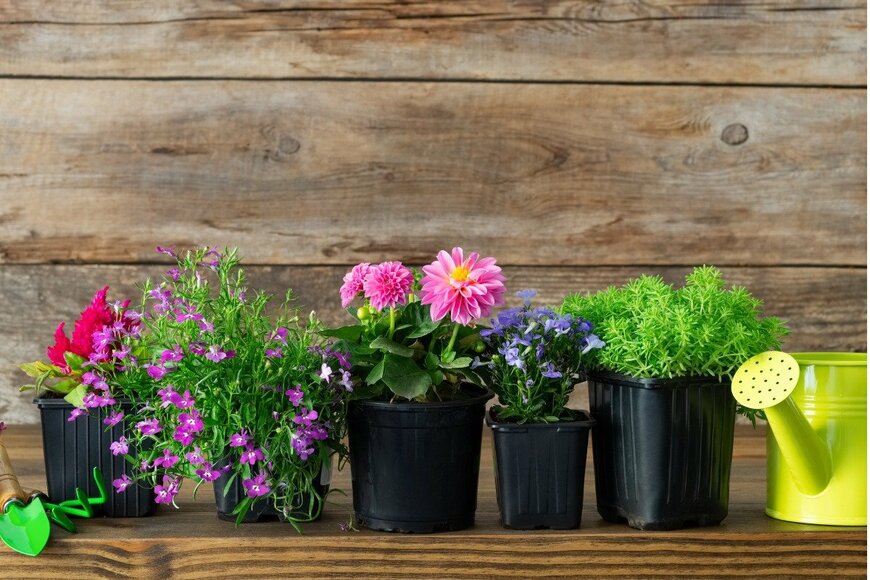 ChamilleWhite/istockphoto.com