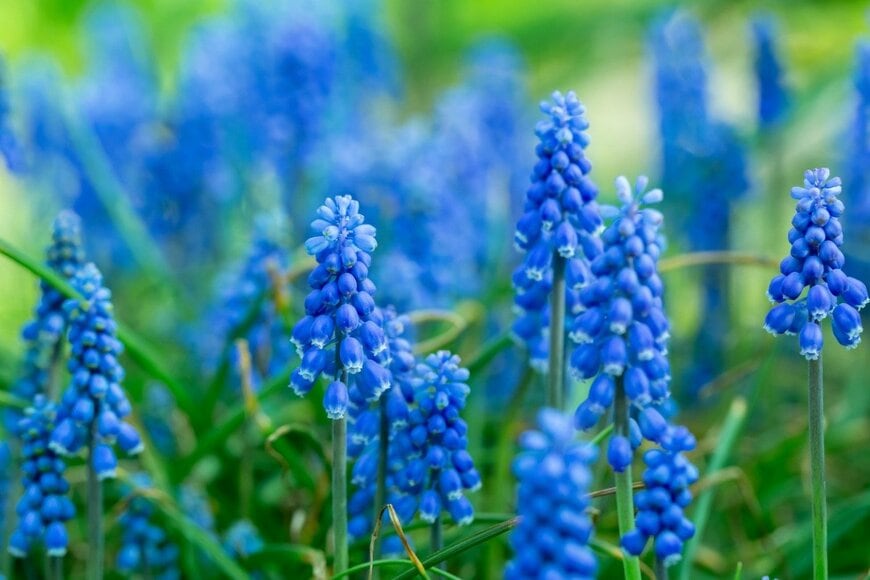 Inna Giliarova/istockphoto.com