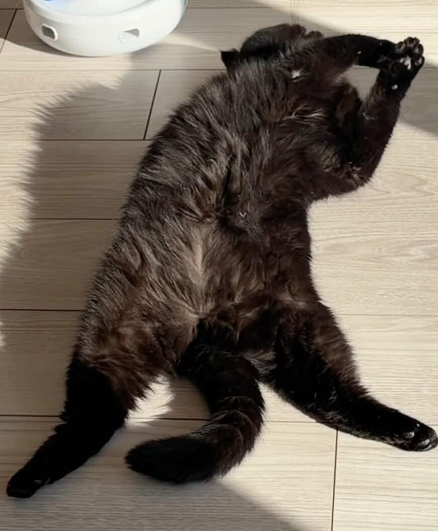 出所：@kotetsu_0420