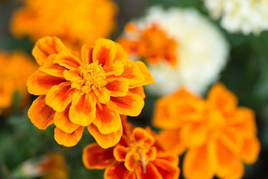 itasun/istockphoto.com