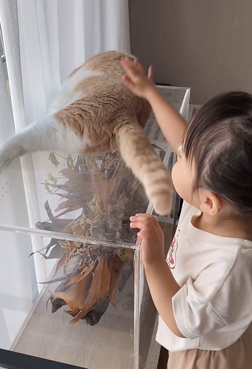 出所：@chanmaro1125