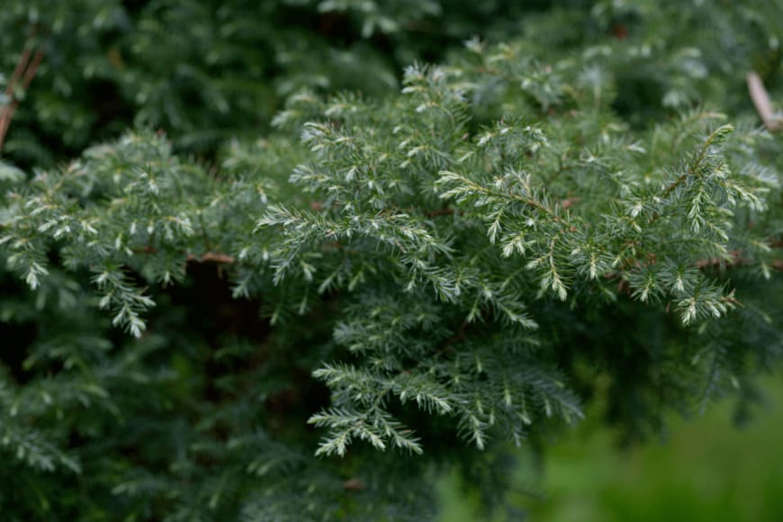 AnnaNel/istockphoto.com