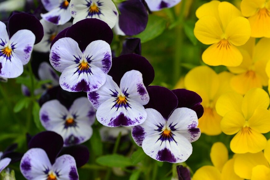 JitkaUnv/istockphoto.com