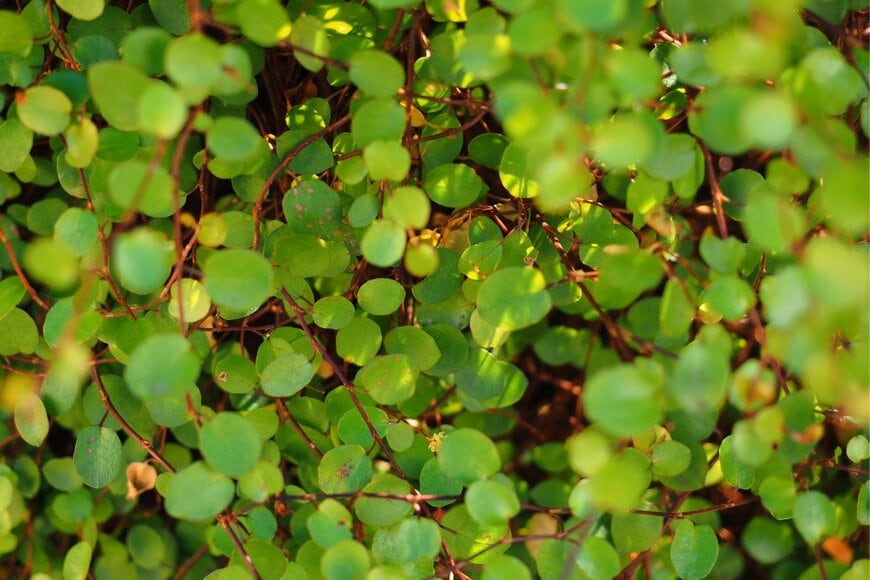 oasis2me/istockphoto.com