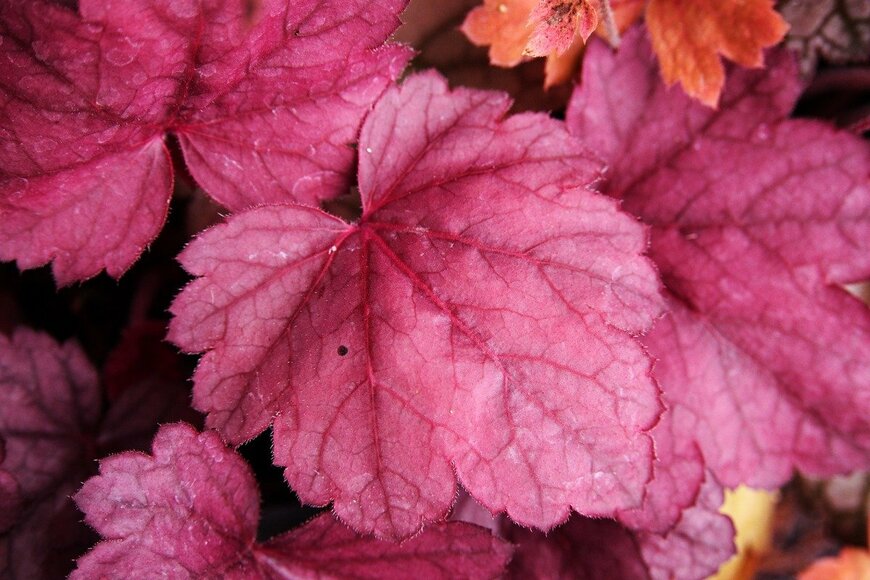 Gratysanna/istockphoto.com