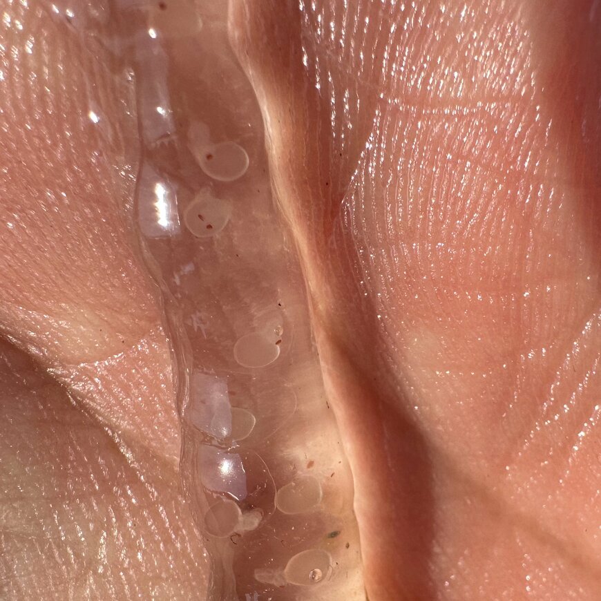 出所：@0909_masuko