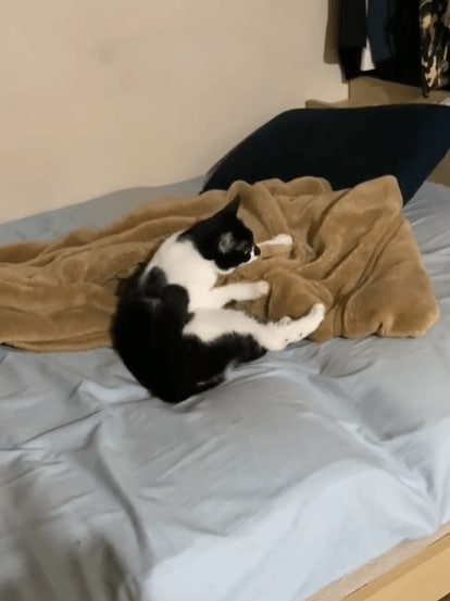 出所：@00shitemita