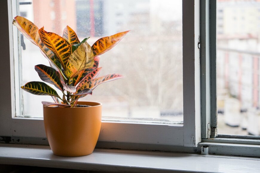 Lucy Lux/shutterstock.com