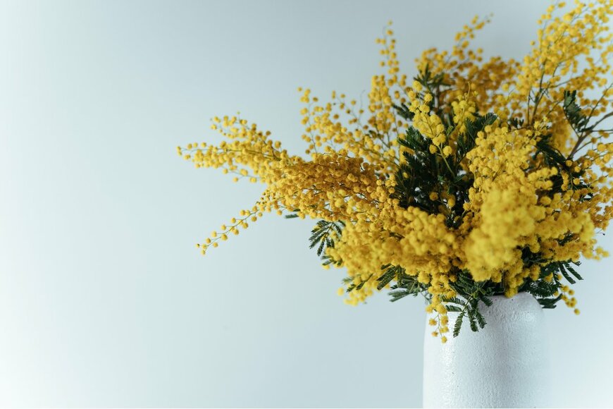 del_selenio/Shutterstock.com