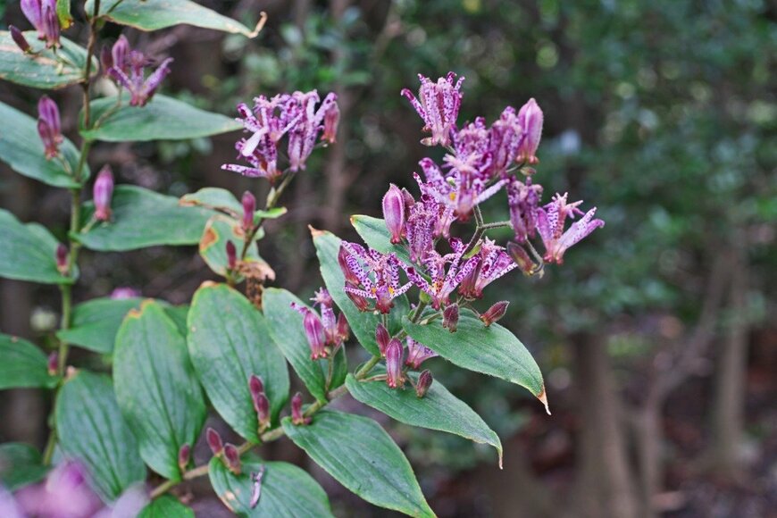 igaguri_1/istockphoto.com