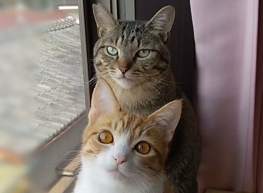 出所：@mero627puri914