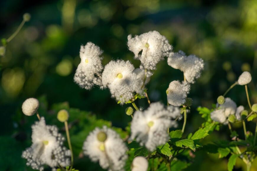 Iva Vagnerova/shutterstock.com