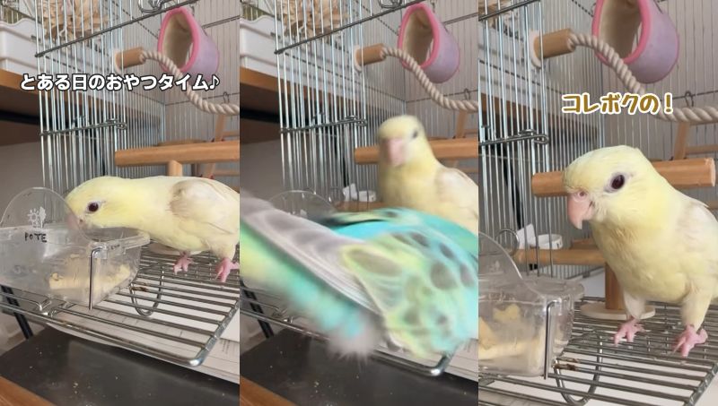 出所：@daiinkoteikoku_soraoto